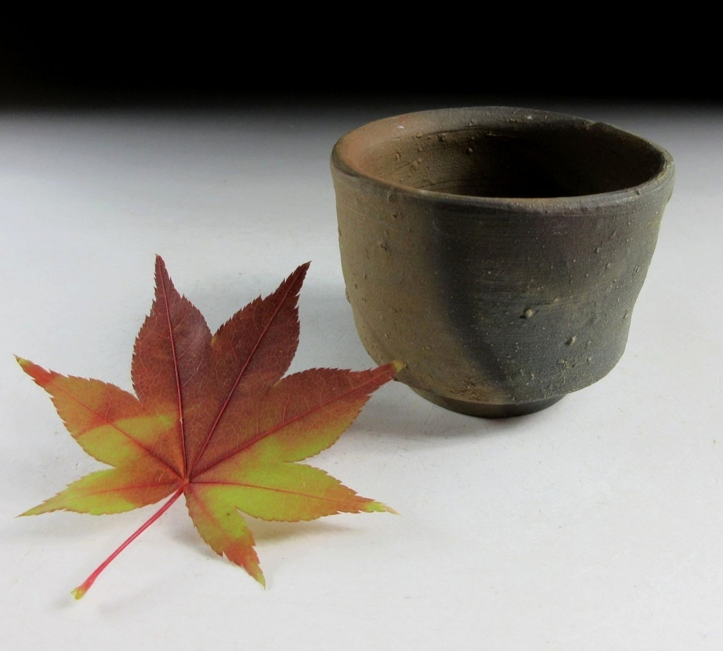 Wood- Fired Bizen Sake Cup