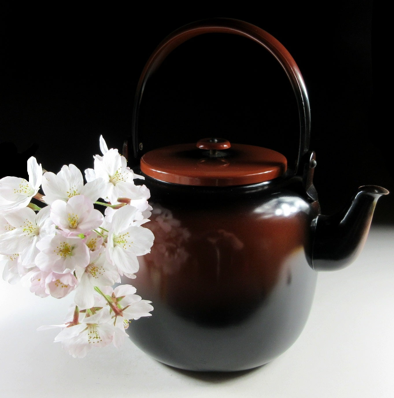 2.5 Litre Koshiguro Yakan Mizutsugi