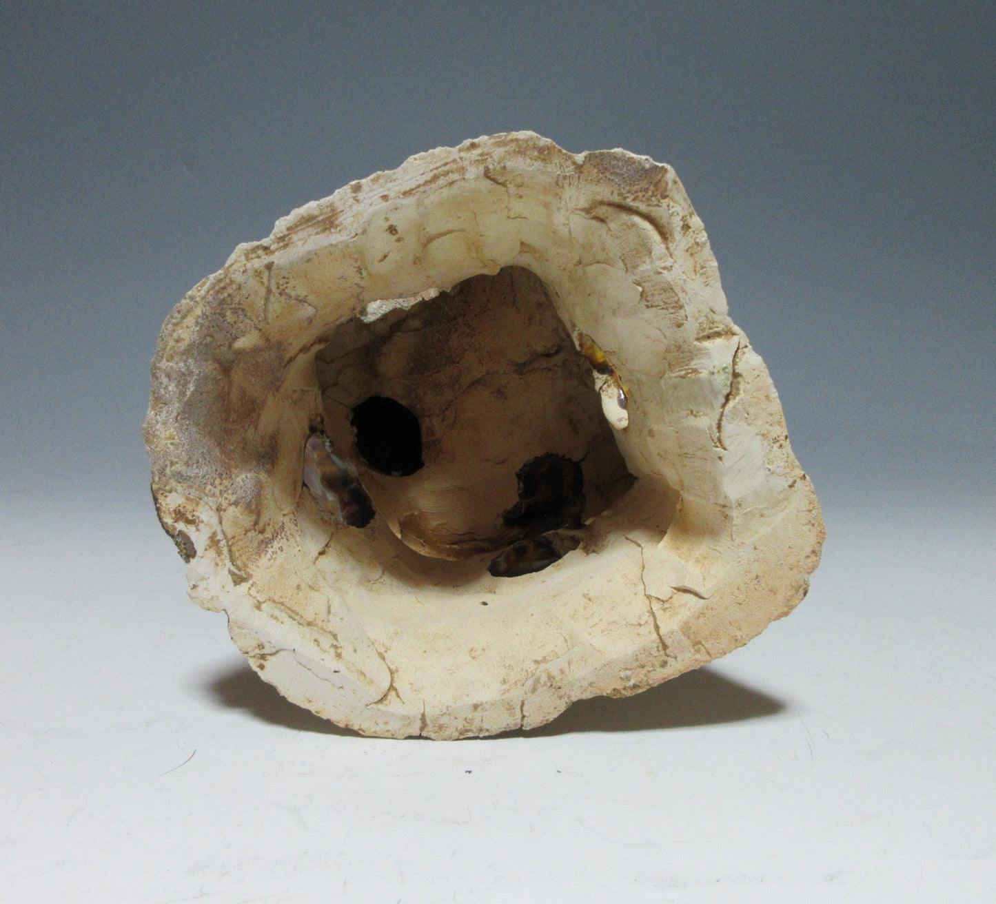 Chinese Tang Sancai Glaze Lion Ornament