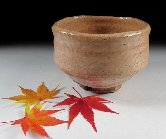 Morishima Isshin Hagi-ware Chawan