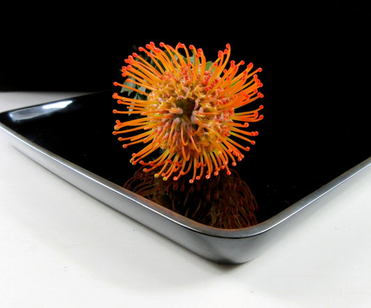 Mori Enoki Wajima-nuri Tray