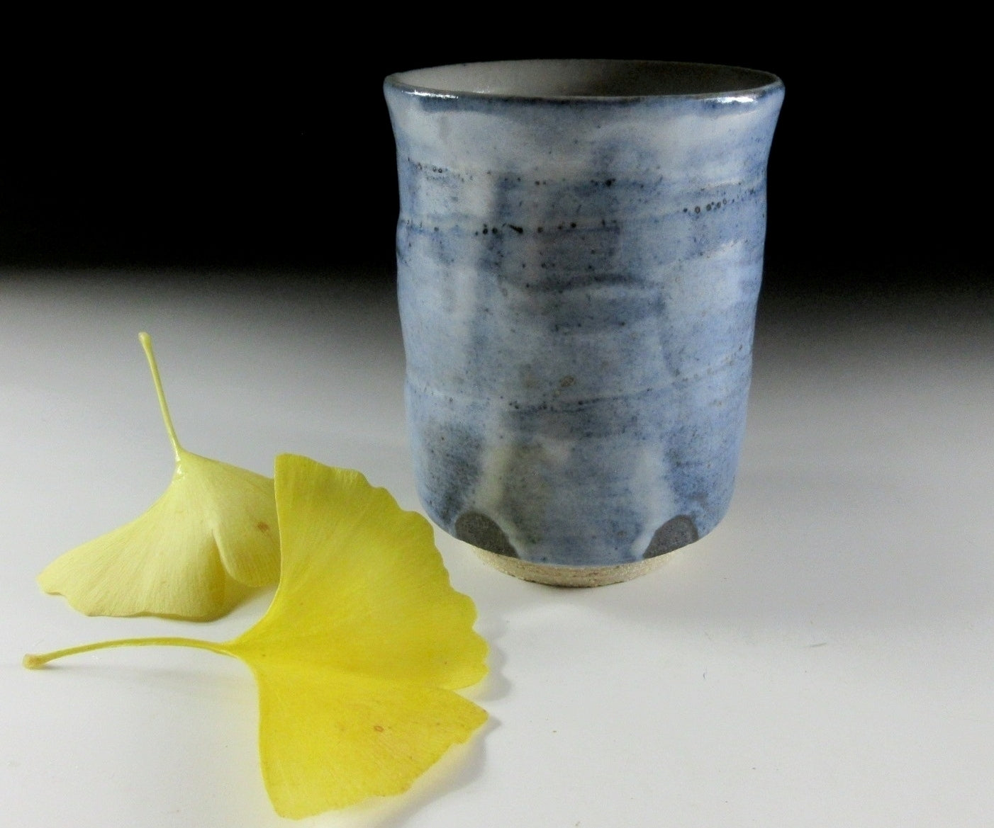 Sakai Hoju Kasama-ware Yunomi Tea Cup