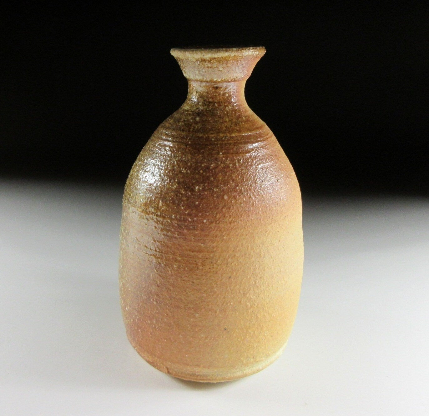 Shigaraki-ware Tokkuri