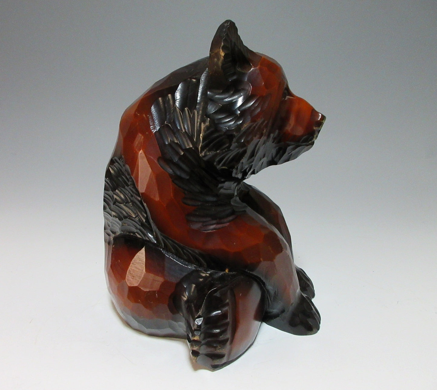Hokkaido Bear in Sitting Pose