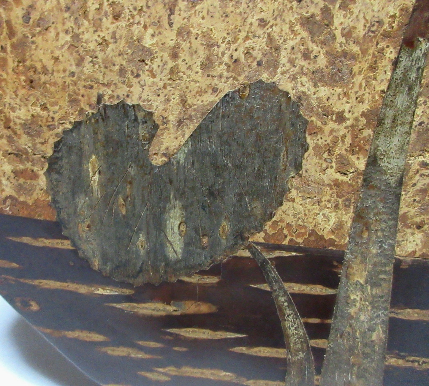 Kaba-zaiku Cherry Bark Chabitsu