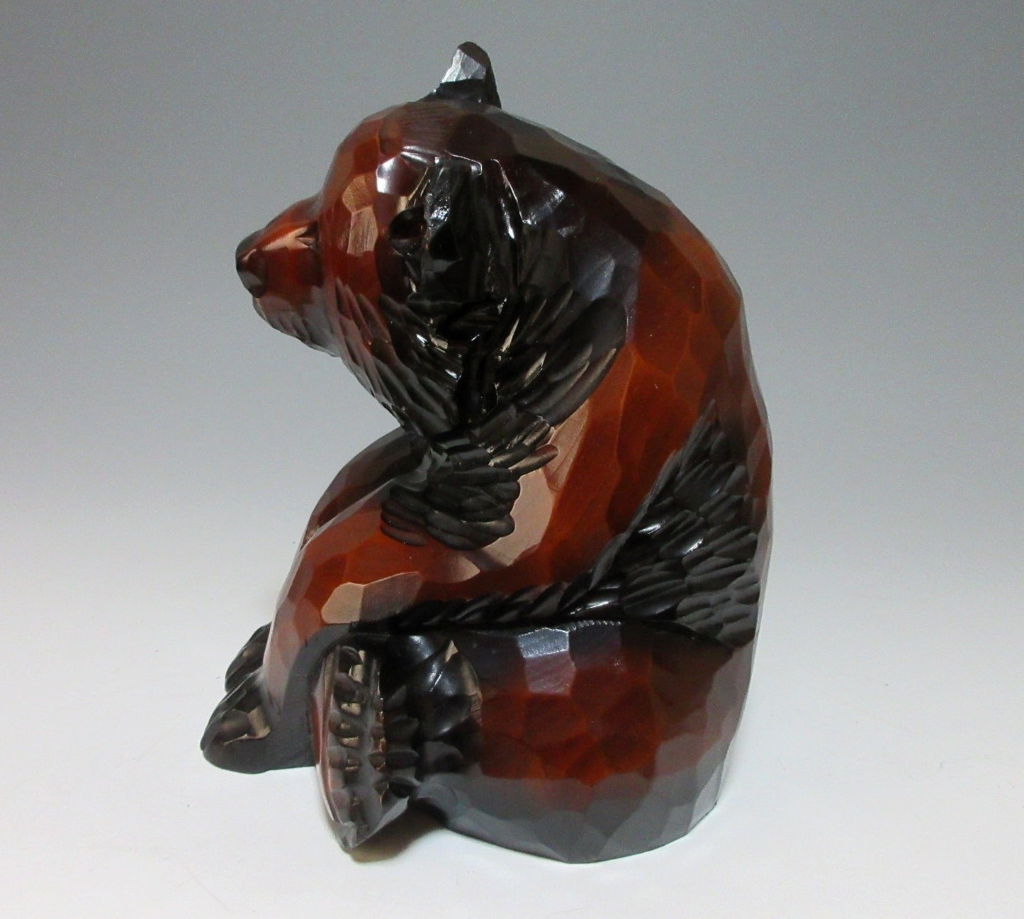 Hokkaido Bear in Sitting Pose