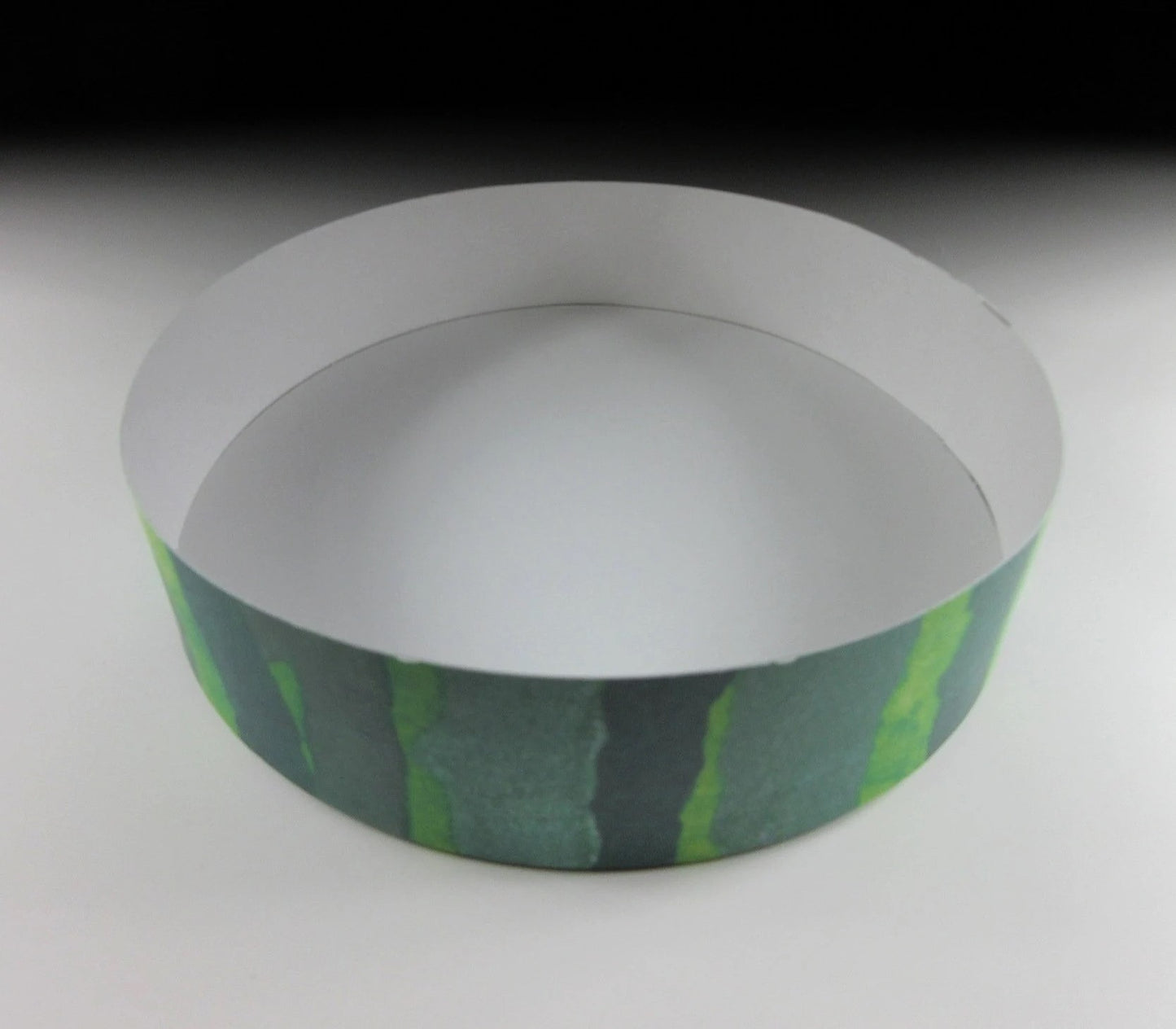 Paper Watermelon Box