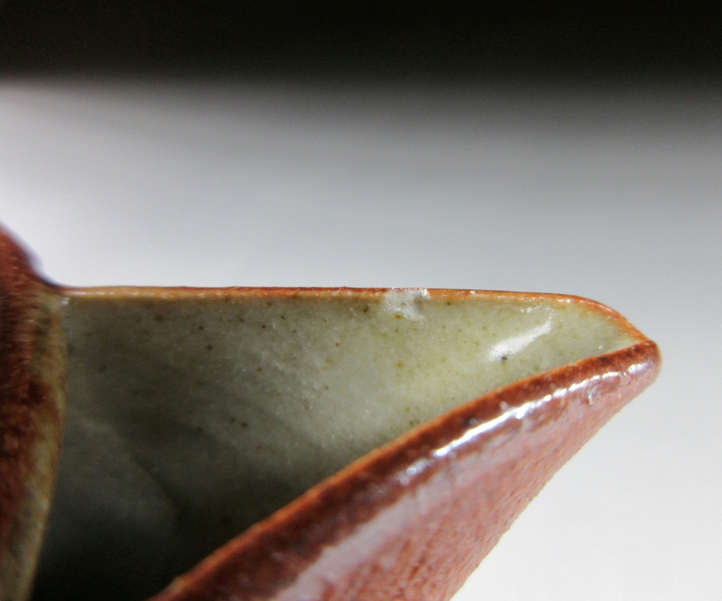 Inada Seizo Shigaraki Tea Set