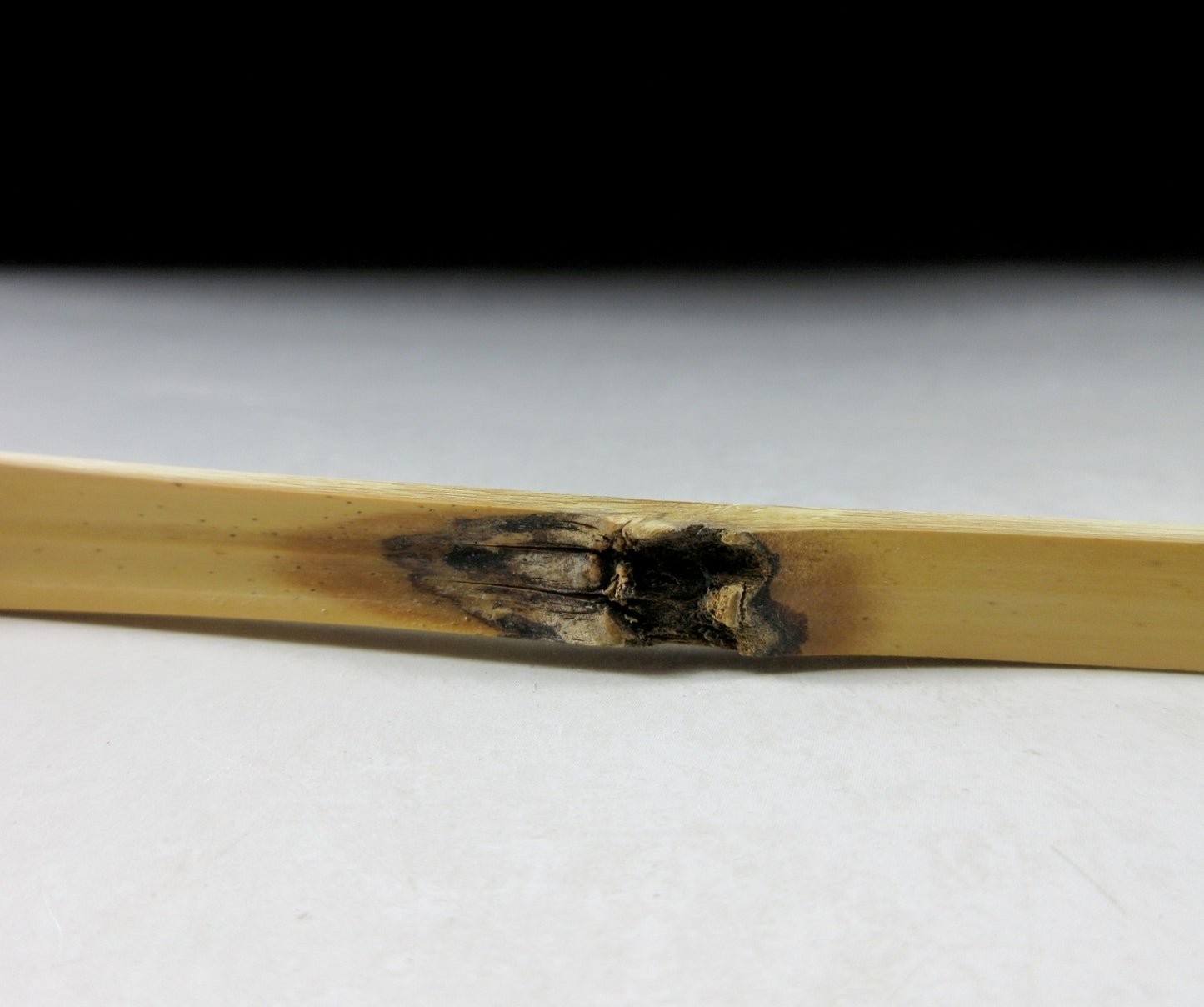 ‘Ennosai Utsushi’ Chashaku Tea Scoop