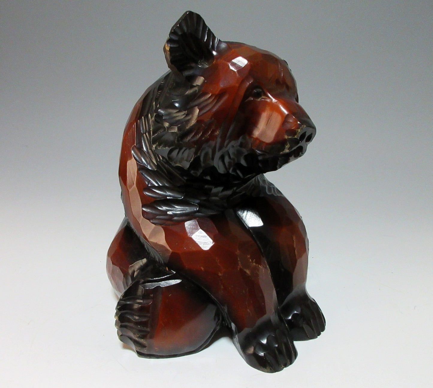 Hokkaido Bear in Sitting Pose