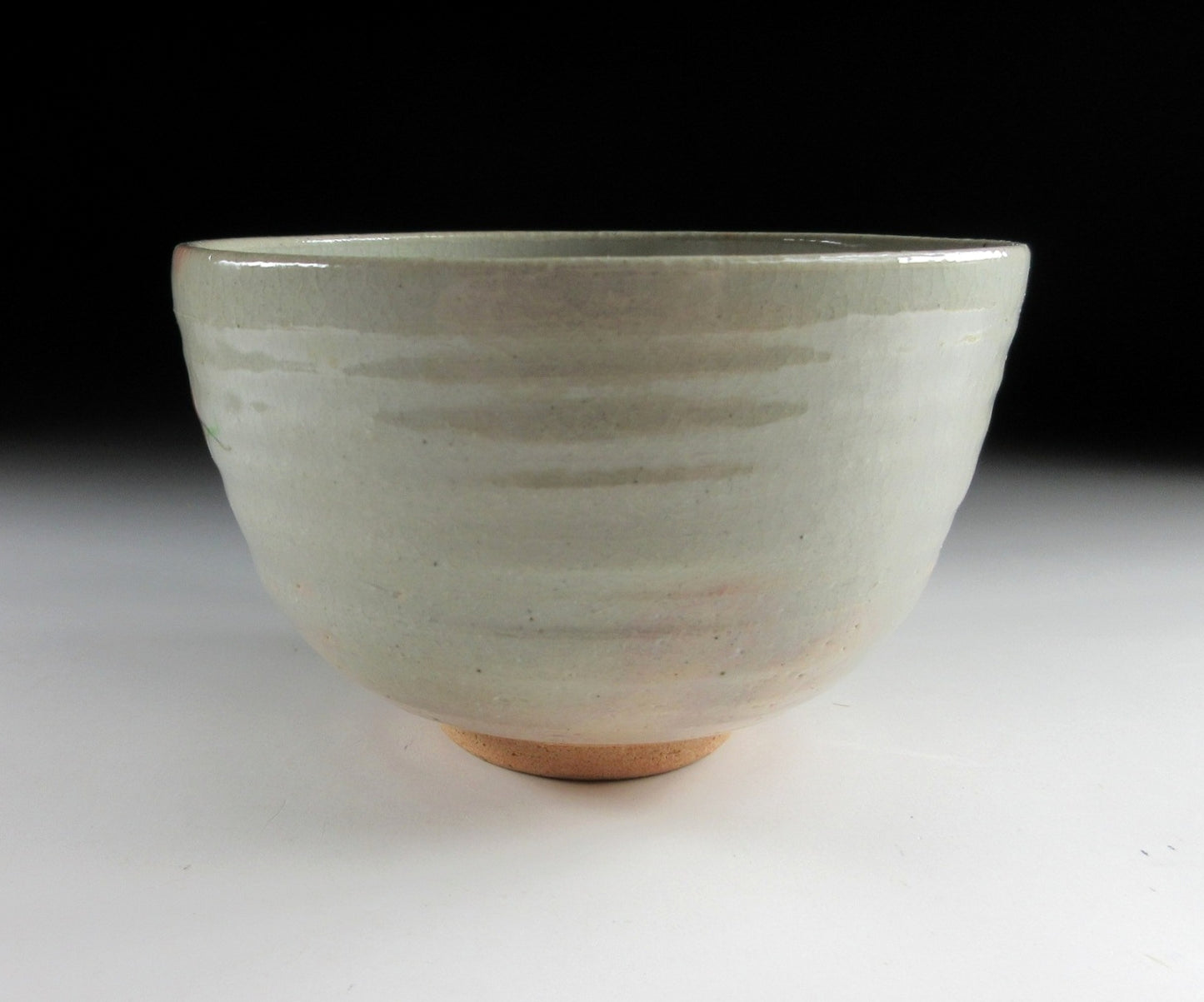 Nakamura Yohei Autumn Ivy Chawan