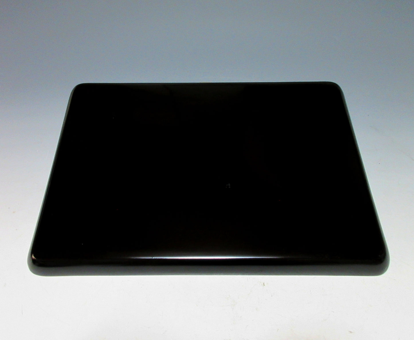 Wajima Ryusaku Lacquerware Tray