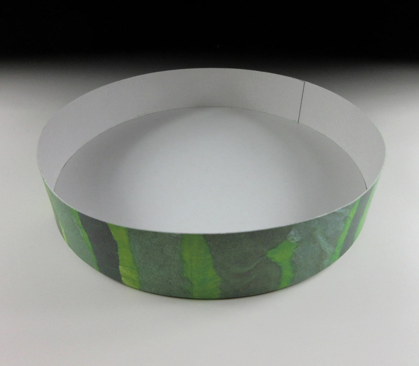 Paper Watermelon Box