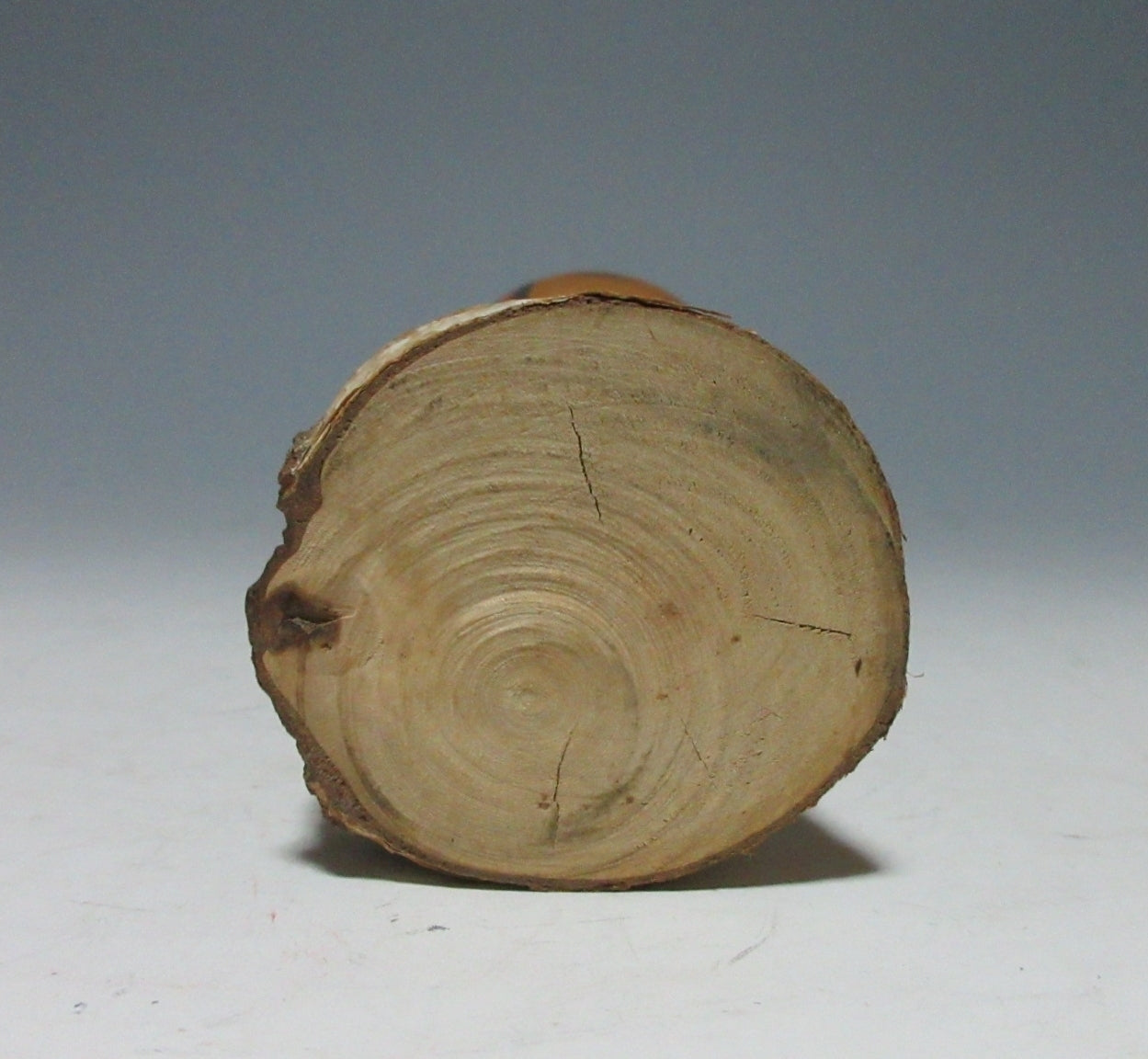 Vintage White Birch Kokeshi