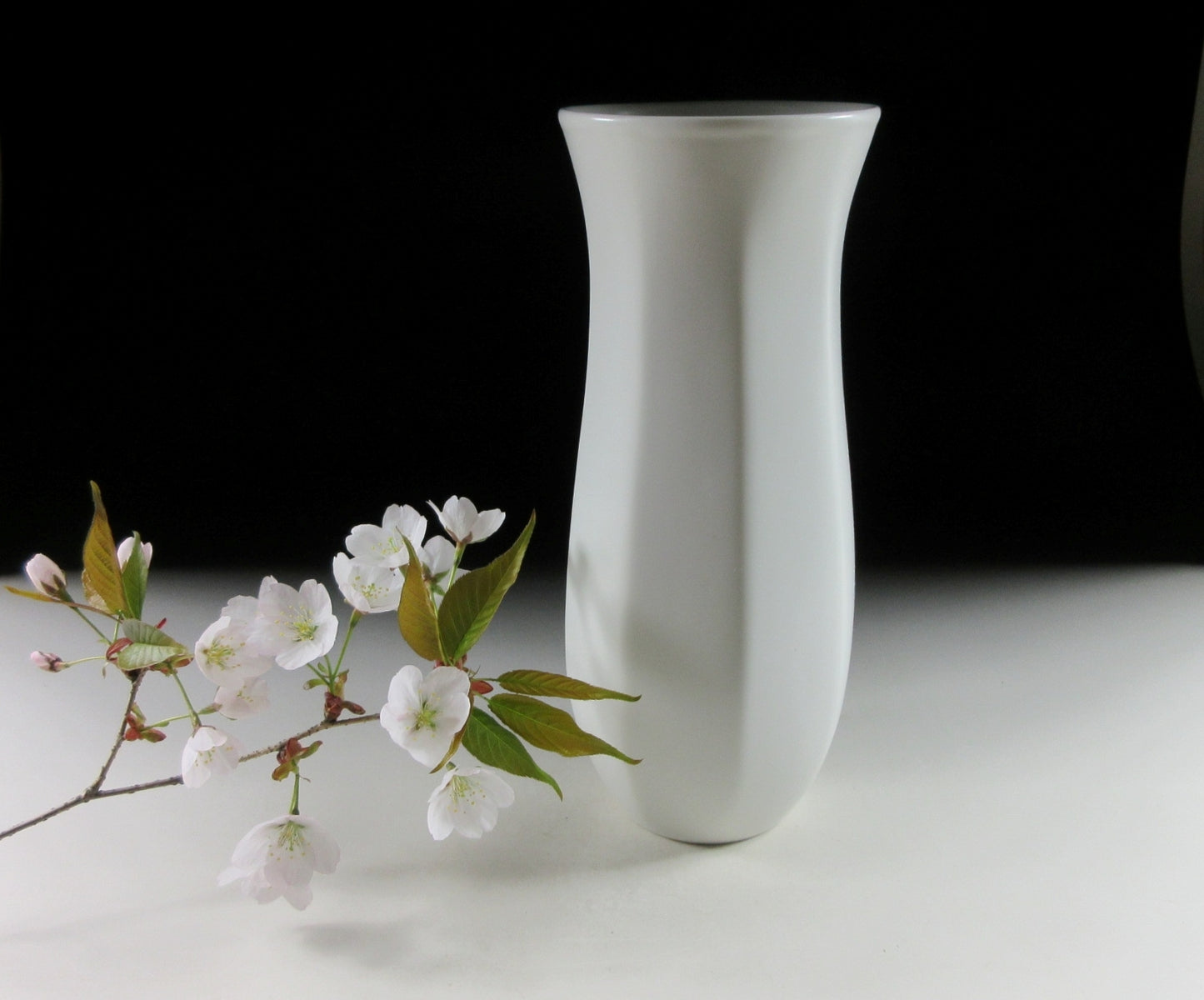 Nagasawa Jin Izushi-ware Porcelain Vase