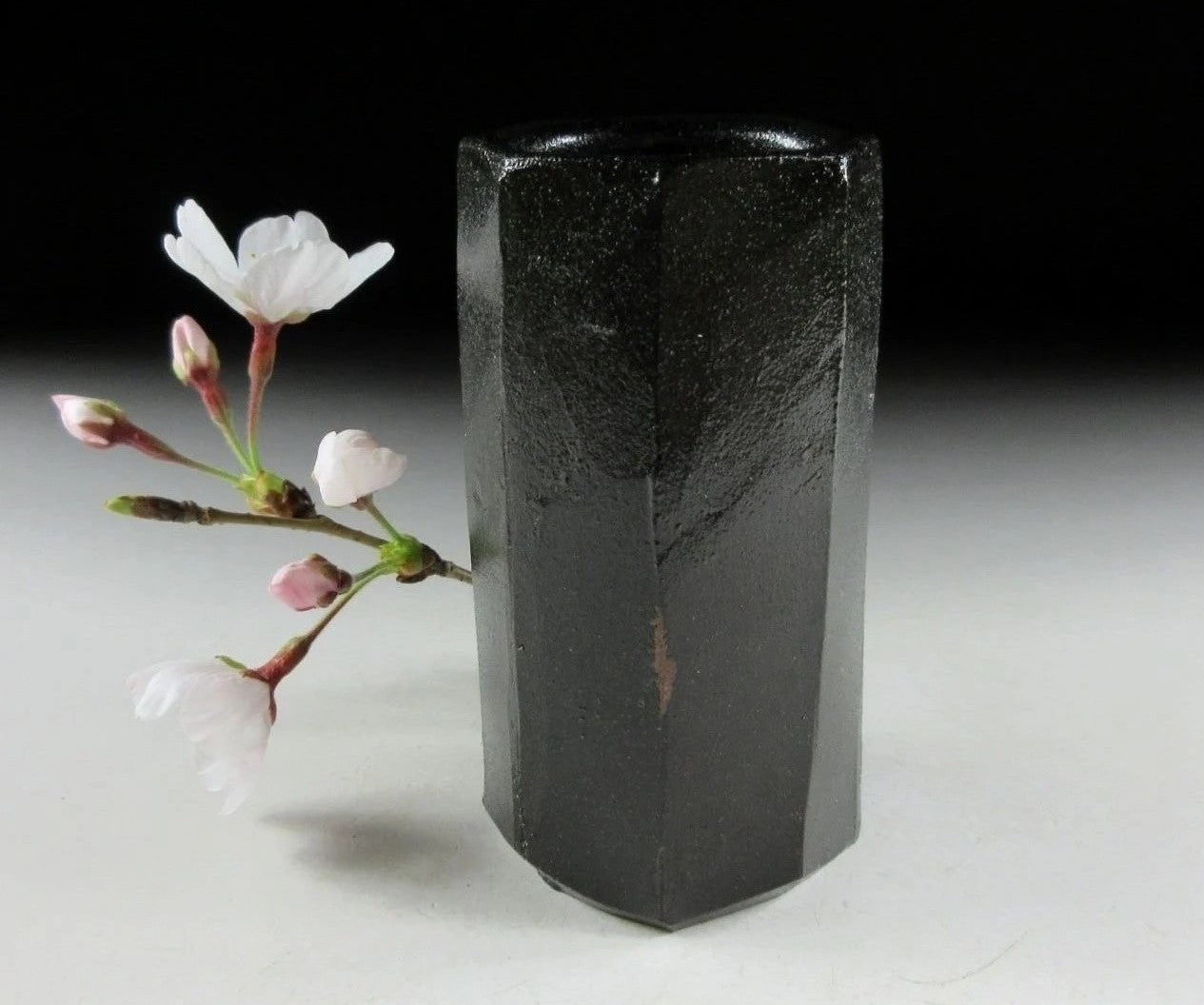 Sakakibara Keishi Black Bizen Guinomi
