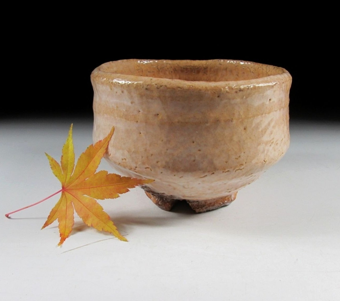 Morishima Isshin Hagi-ware Chawan