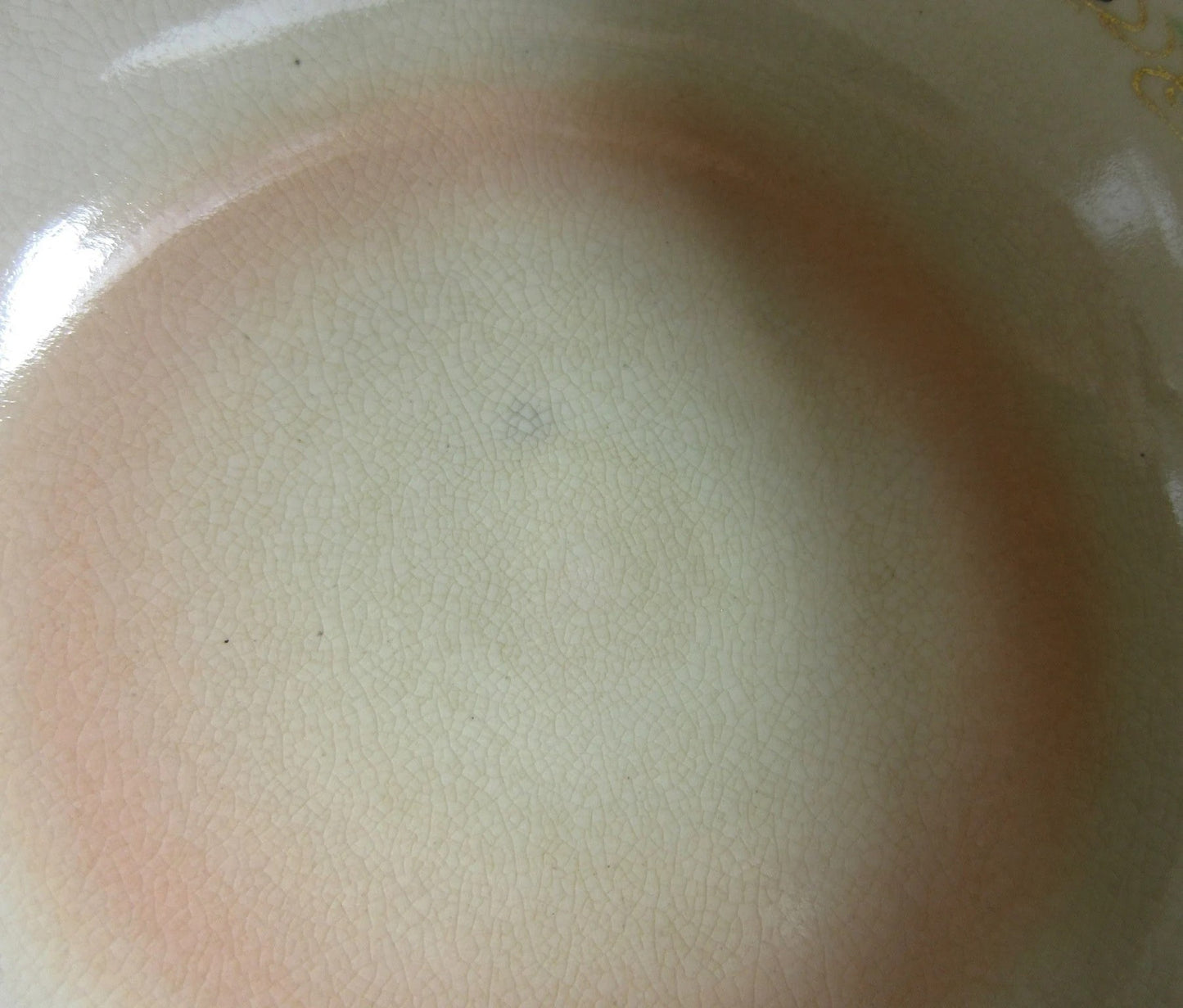 Kyo-ware Cormorant Chawan #2