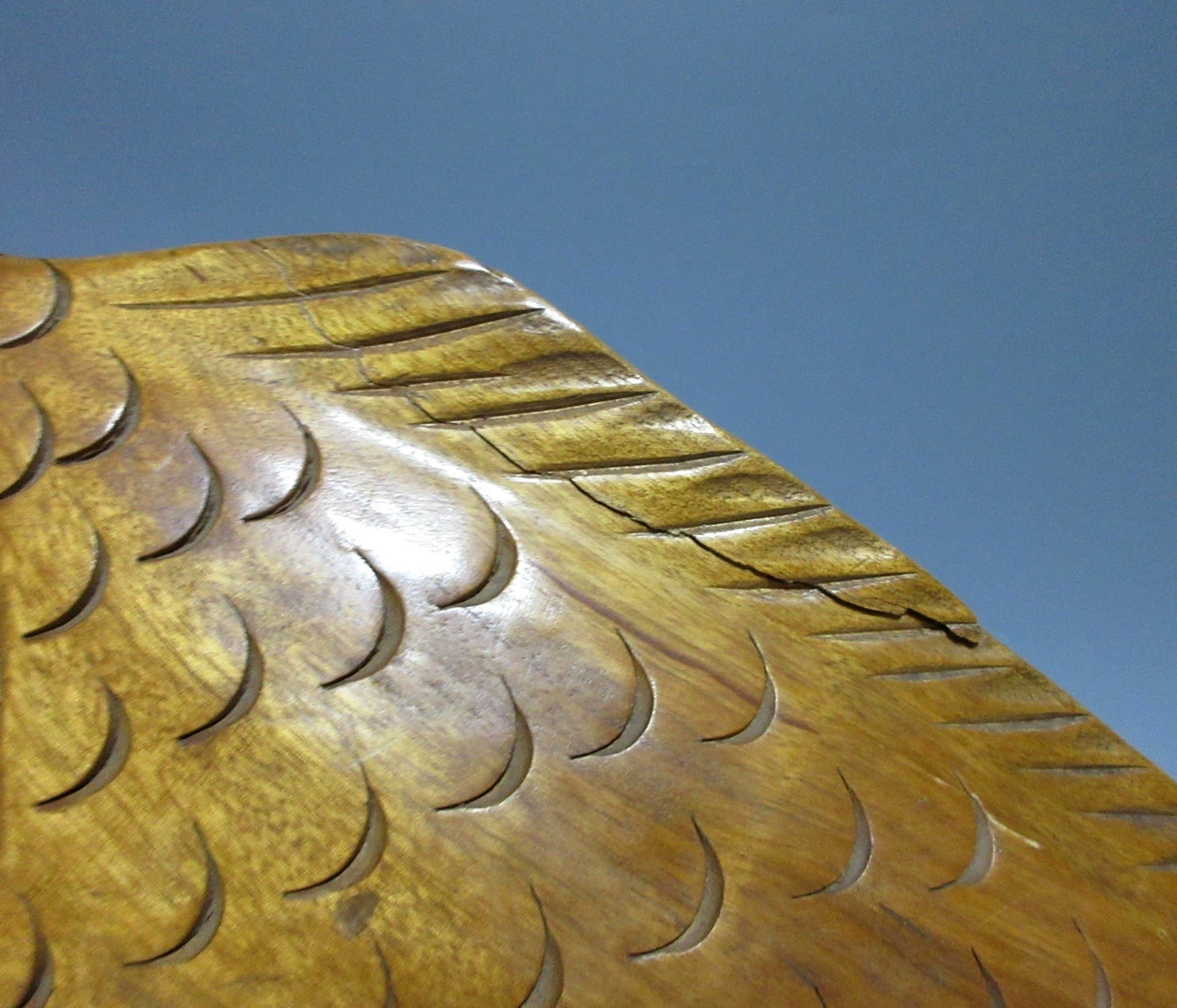 HUGE Ittobori Koi Wood Carving