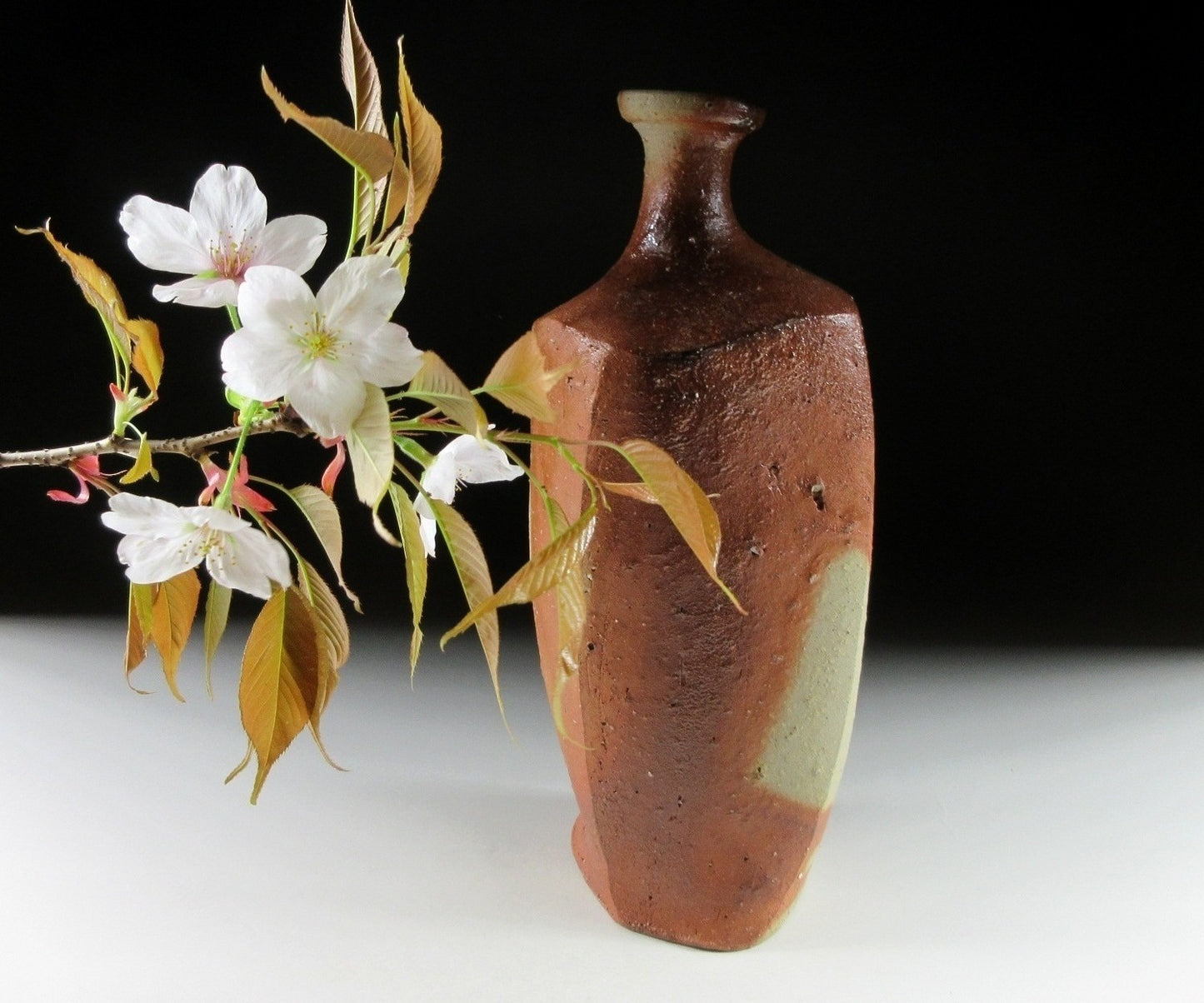 Wood-Fired Bizen-ware Tokkuri