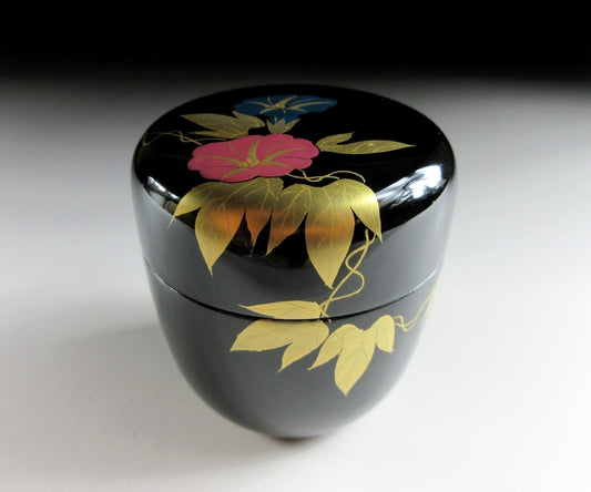 Nakamura Kaho Morning Glory Natsume