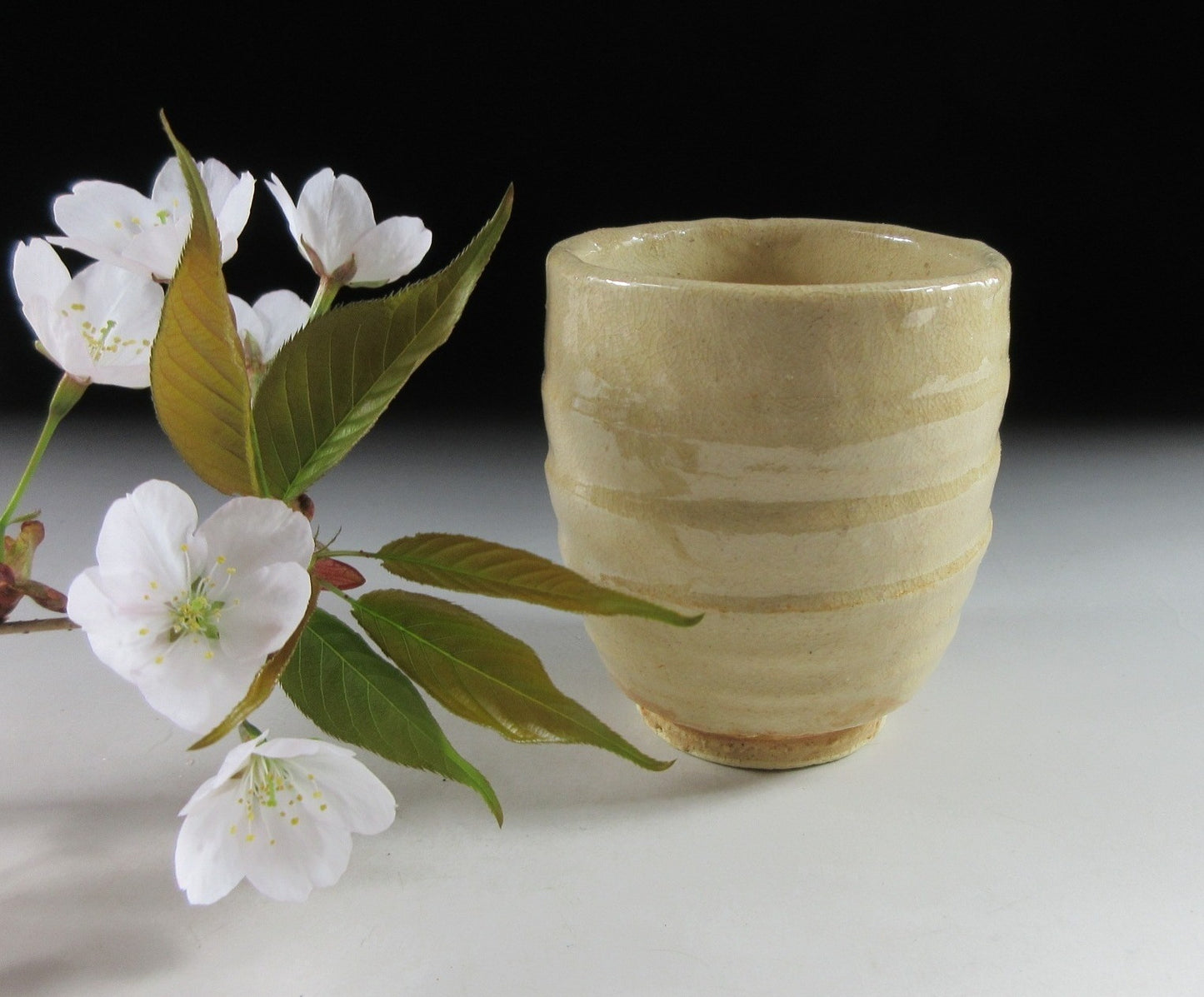 Nosaka Koki Hagi-ware Yunomi