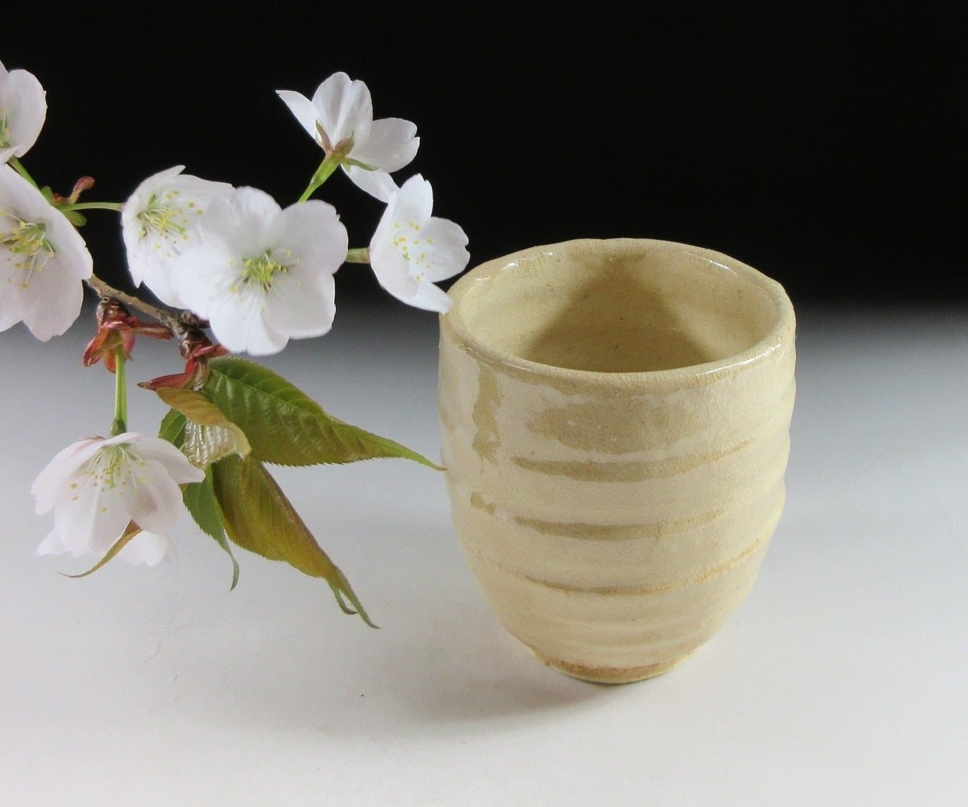 Nosaka Koki Hagi-ware Yunomi