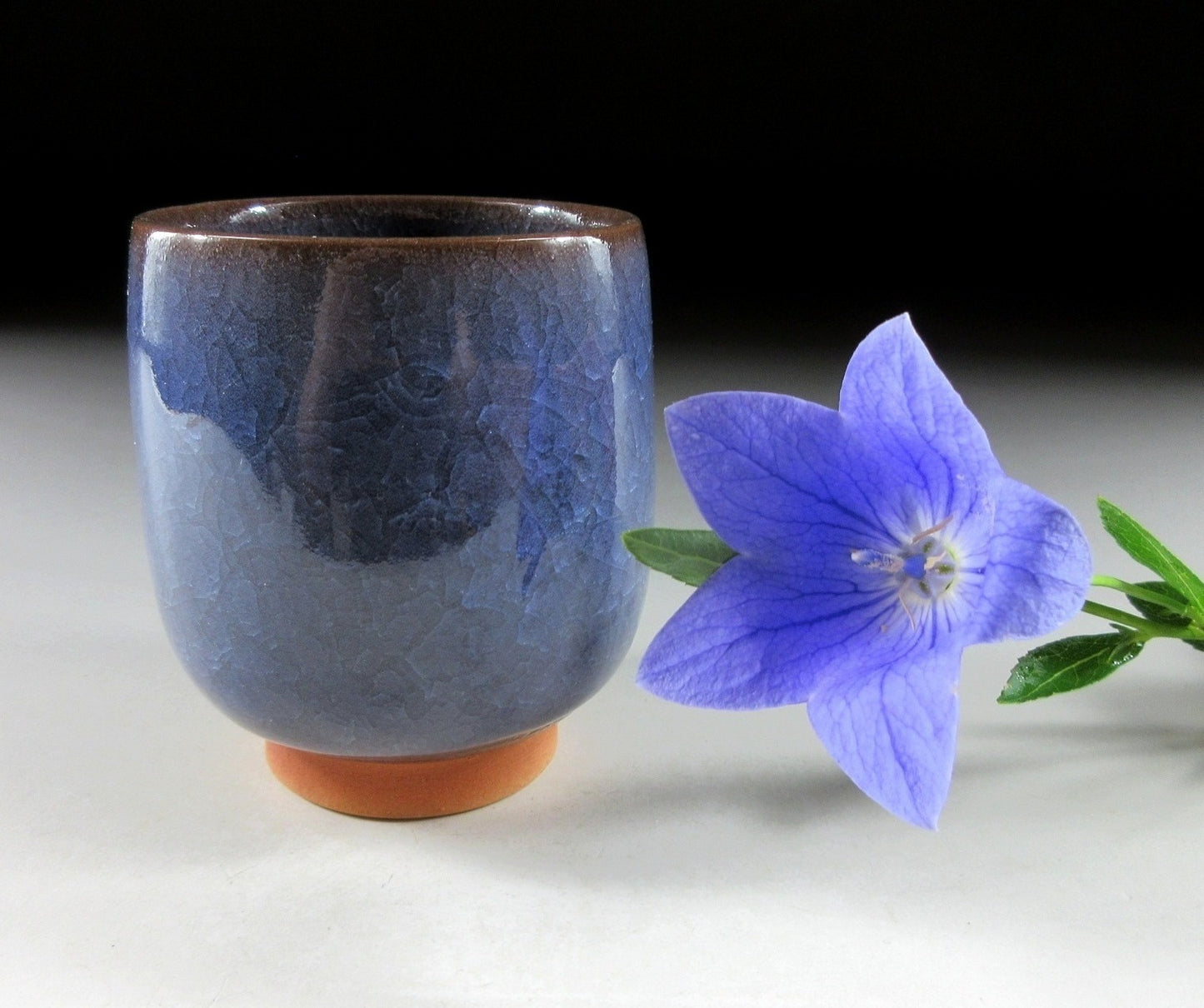 Kaho Toen Kiyomizu-ware Yunomi